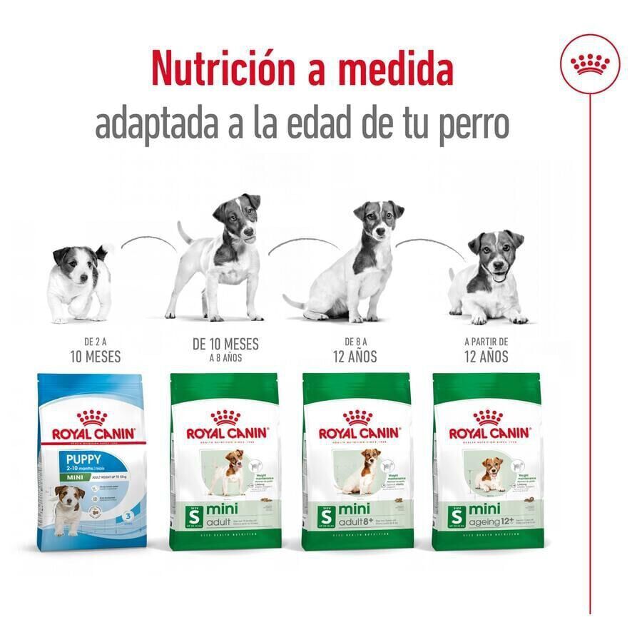 3.5 kg Royal Canin Mini 12+ Ageing ra&ccedil;&atilde;o para c&atilde;es, , large Imagem n&uacute;mero 11
