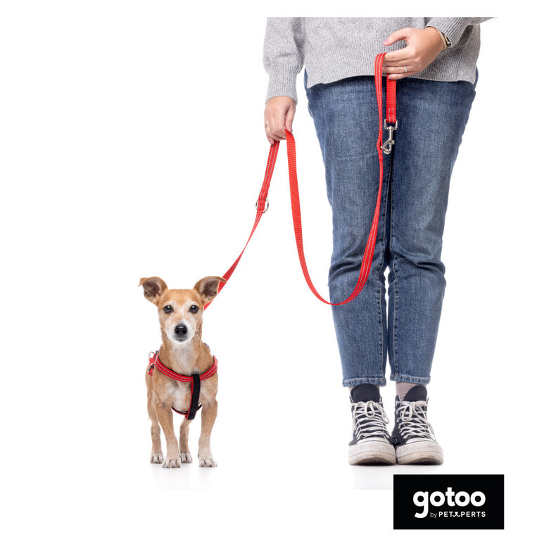 Gotoo Peitoral vermelho de nylon refletor para cães,  Imagem número 5 Gotoo Peitoral vermelho de nylon refletor para cães, , large Imagem número 5