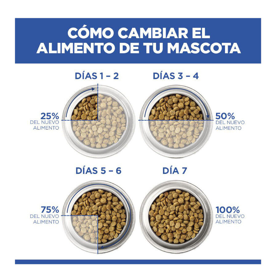 Hill's Science Plan Adult Medium Hypoallergenic Salm&atilde;o ra&ccedil;&atilde;o para c&atilde;es, , large Imagem n&uacute;mero 7