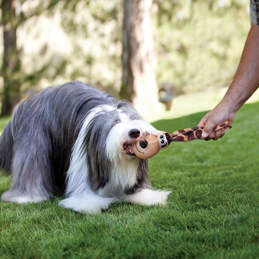 Kong Wubba Floppy Ear brinquedo para&nbsp;c&atilde;es, , large Imagem n&uacute;mero 2