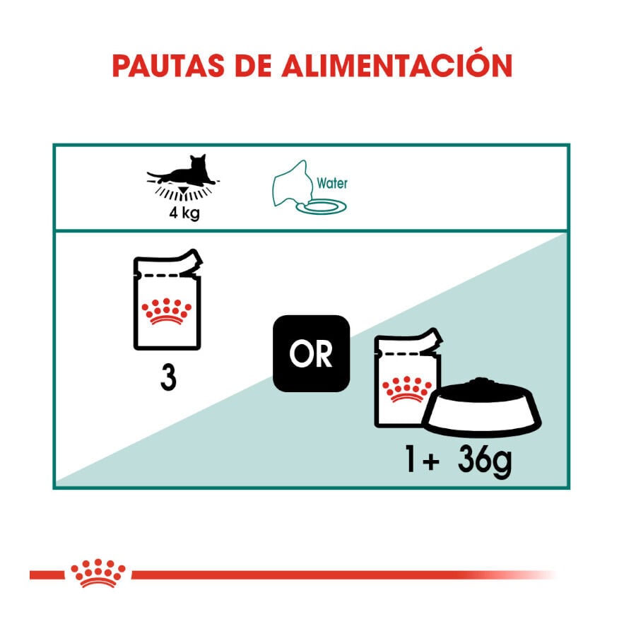 85 g Royal Canin Senior 7+ Instinctive saquetas para gatos, , large Imagem n&uacute;mero 8