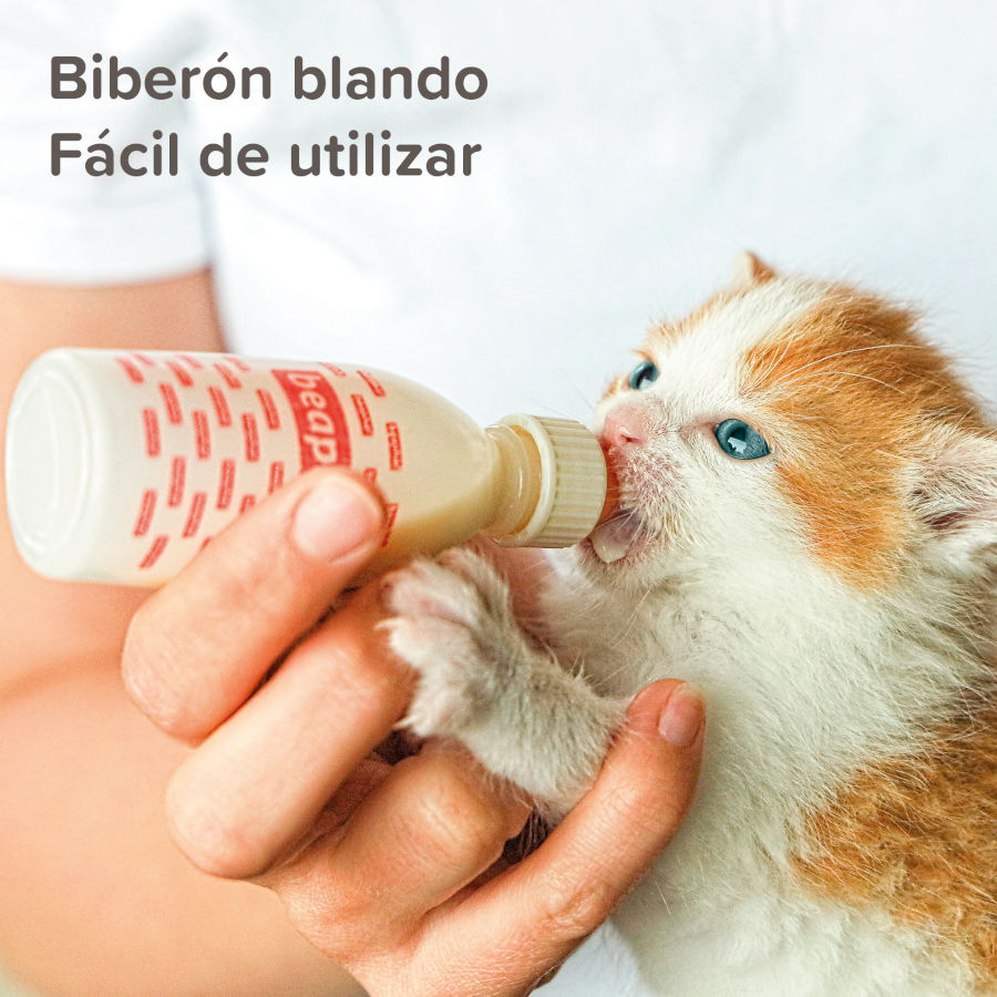 Beaphar Lactol Kit Biber&atilde;o para animais de estima&ccedil;&atilde;o, , large Imagem n&uacute;mero 5