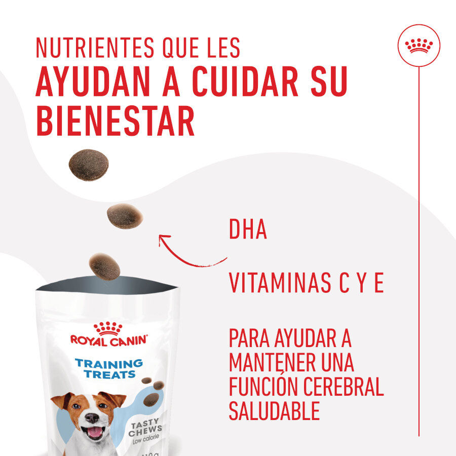 110 g Royal Canin Training snacks para c&atilde;es, , large Imagem n&uacute;mero 5