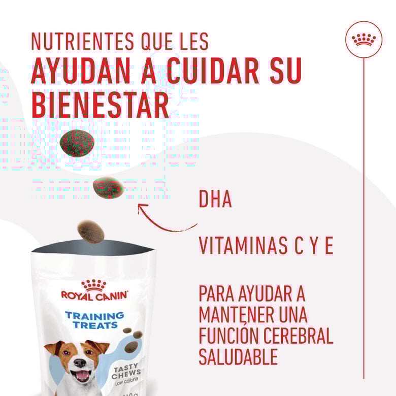 110 g Royal Canin Training snacks para cães,  Imagem número 5 110 g Royal Canin Training snacks para cães, , large Imagem número 5