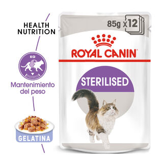 Royal Canin Sterilised Saquetas em gelatina para gatos