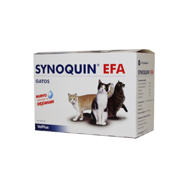 Synoquin condroprotector para gatos EFA image number null