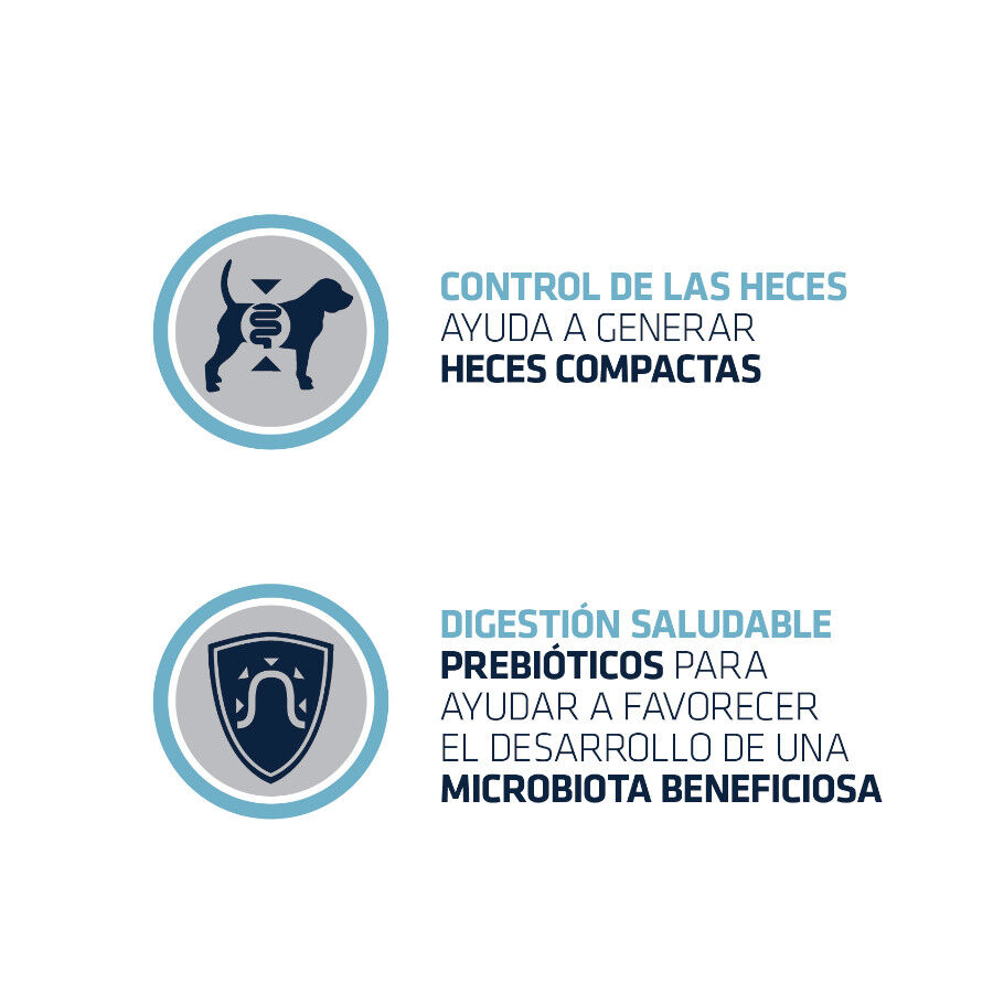 100 g Advance Sticks Gastro Forte para c&atilde;es com problemas intestinais

, , large Imagem n&uacute;mero 6