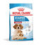 1 kg Royal Canin Medium Starter Mother&Baby ração para cães, , large Indicador imagem número 2