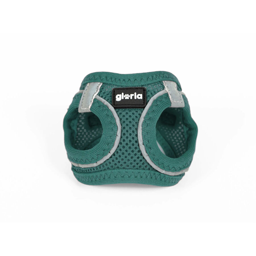 Gloria Air Mesh Trek Star Turquesa Peitoral/Vestido para c&atilde;es, , large Imagem n&uacute;mero 2