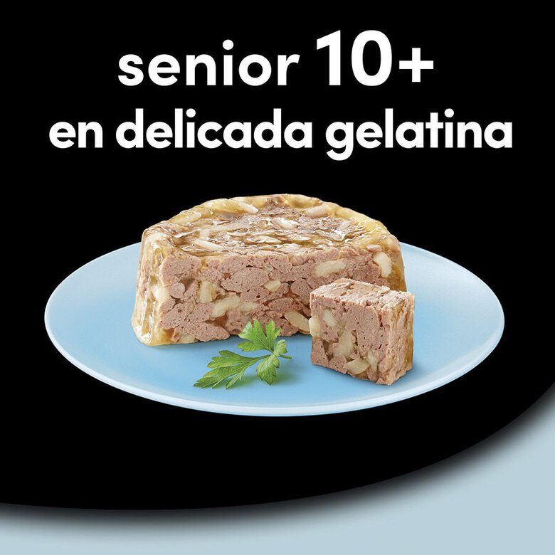4 terrinas x 150 g Cesar Mistura de Carnes Terrina em Geleia para Cães Sénior - Multipack,  Imagem número 5 4 terrinas x 150 g Cesar Mistura de Carnes Terrina em Geleia para Cães Sénior - Multipack, , large Imagem número 5
