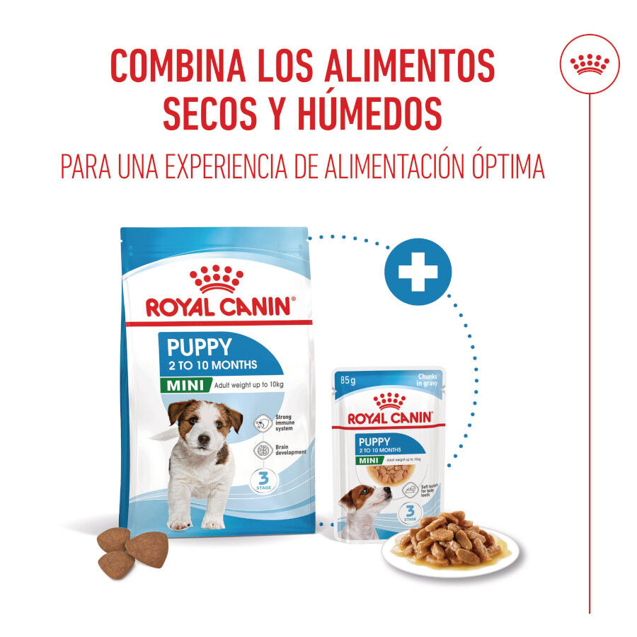 4 kg Royal Canin Mini Puppy ra&ccedil;&atilde;o para c&atilde;es, , large Imagem n&uacute;mero 6