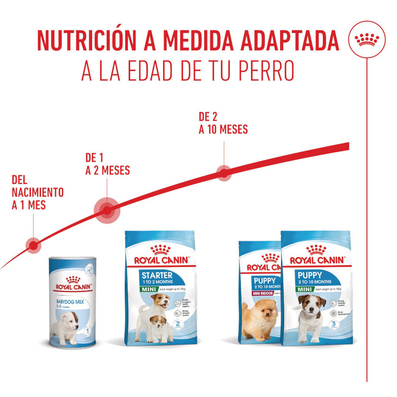 Royal Canin Mini Starter MothereBaby ração para cães,  Imagem número 7 Royal Canin Mini Starter MothereBaby ração para cães, , large Imagem número 7