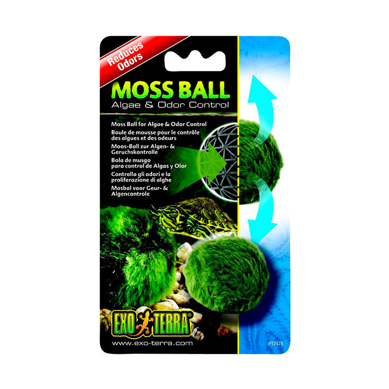 Exo Terra Bola de Musgo para tortugueras ,  Imagem número 1 Exo Terra Bola de Musgo para tortugueras , , large Imagem número 1