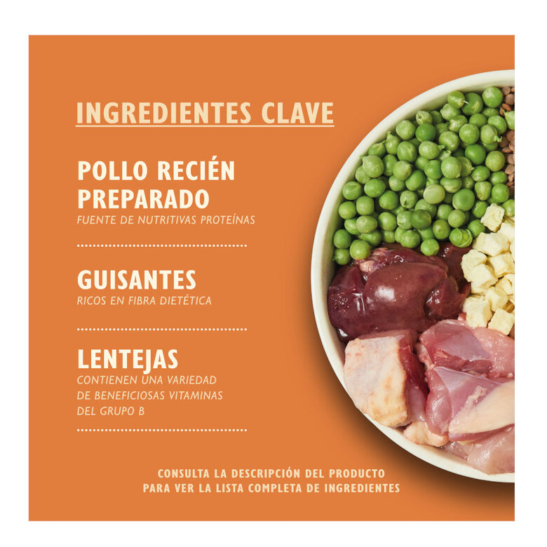 2.5 kg Lily's Kitchen Adult Frango e Pato ração para cães,  Imagem número 2 2.5 kg Lily's Kitchen Adult Frango e Pato ração para cães, , large Imagem número 2