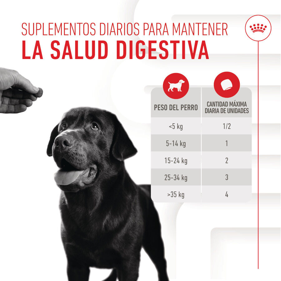 160 g Royal Canin Digestion Chews Suplemento Nutricional para c&atilde;es com sensibilidade, , large Imagem n&uacute;mero 5