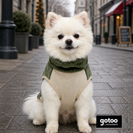 Gotoo Camisola Polar Verde para c&atilde;es