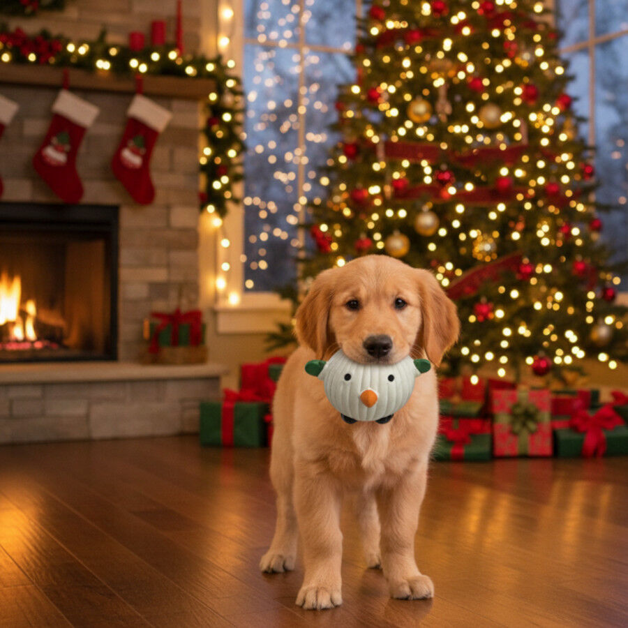 Wonder Christmas Bola de Natal para C&atilde;es, , large Imagem n&uacute;mero 3
