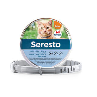 Seresto Coleira antiparasitária para gatos