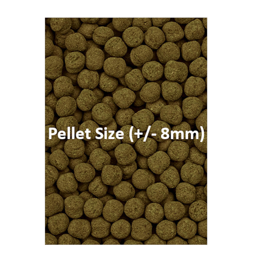 Ocean Nutrition Formula Two Marine Pellet para peixes tropicais, , large Imagem n&uacute;mero 2