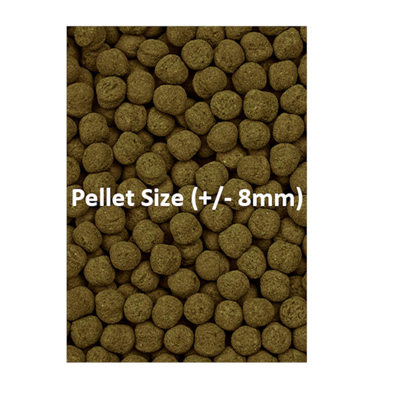 Ocean Nutrition Formula Two Marine Pellet para peixes tropicais,  Imagem número 2 Ocean Nutrition Formula Two Marine Pellet para peixes tropicais, , large Imagem número 2