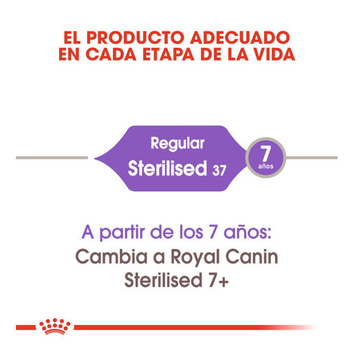 Royal Canin Regular Sterilised 37 ração para gatos, , large image number null