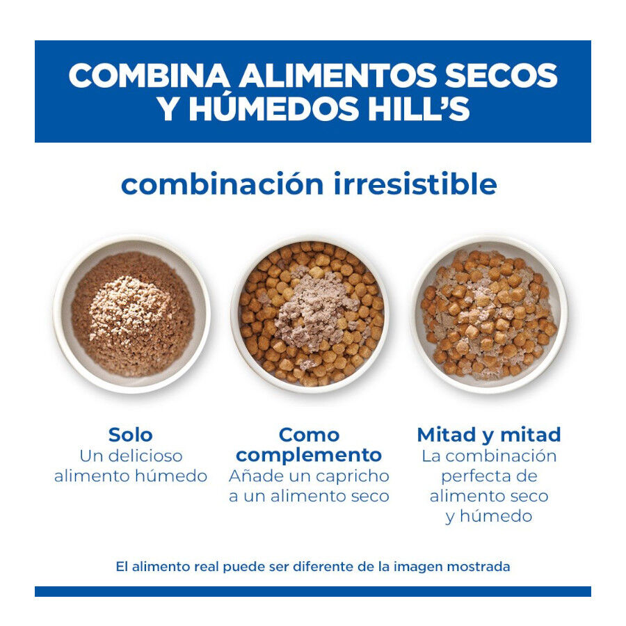 363 g Hill's Science Plan Hypoallergenic Alimento H&uacute;mido com Salm&atilde;o para C&atilde;es Adultos, , large Imagem n&uacute;mero 6
