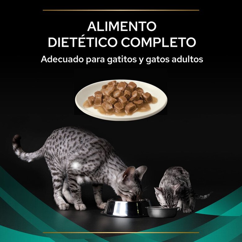 10 x 85 g Pro Plan Veterinary Diets Gastrointestinal Alimento húmido em saqueta para gatos,  Imagem número 4 10 x 85 g Pro Plan Veterinary Diets Gastrointestinal Alimento húmido em saqueta para gatos, , large Imagem número 4