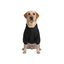 Gotoo Casaco Imperme&aacute;vel Refletor Preto para c&atilde;es, , large Indicador imagem n&uacute;mero 7