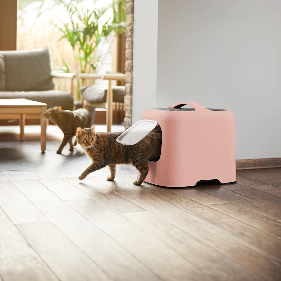 Rotho Biala Eco Caixa de Areia Rosa para gatos, , large Imagem n&uacute;mero 2