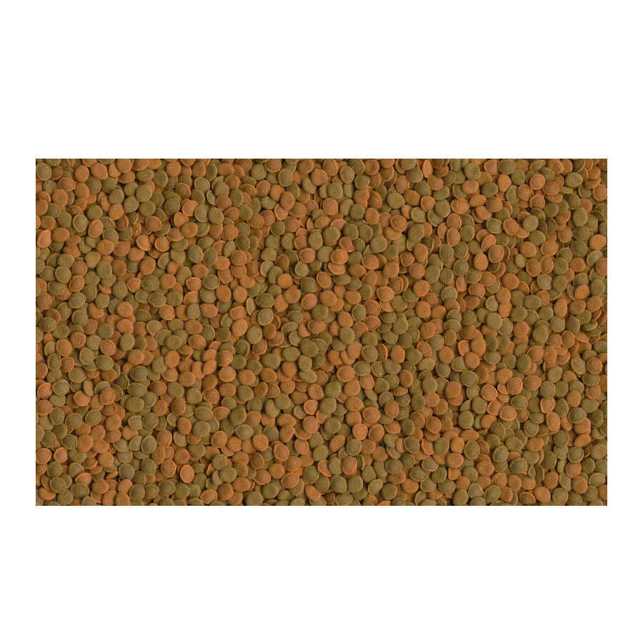 TetraWafer Mix Comprimidos para peixes fit&oacute;fagos e carn&iacute;voros, , large Imagem n&uacute;mero 2