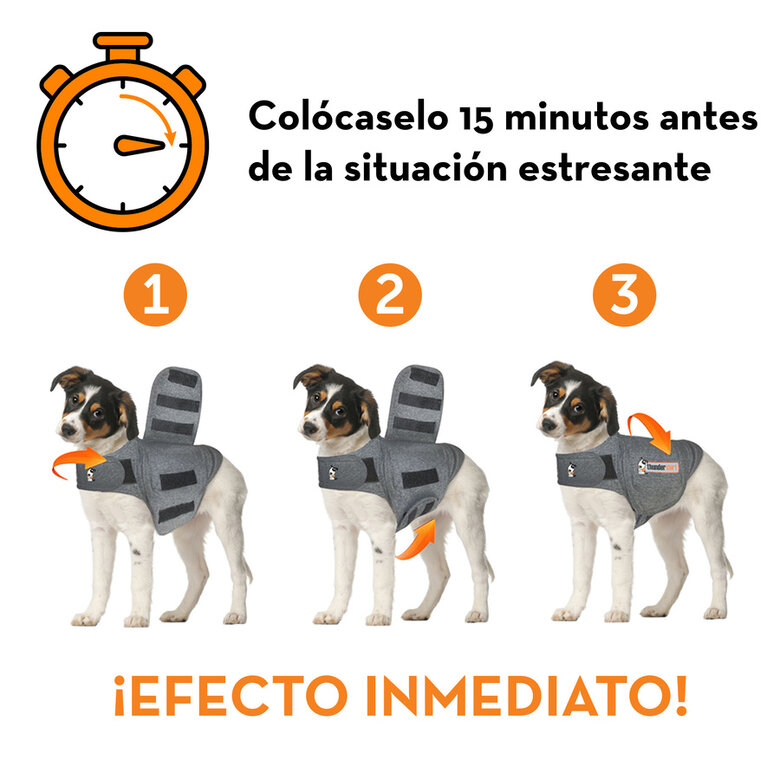 Thundershirt Colete Anti-Stress para cães,  Imagem número 3 Thundershirt Colete Anti-Stress para cães, , large Imagem número 3