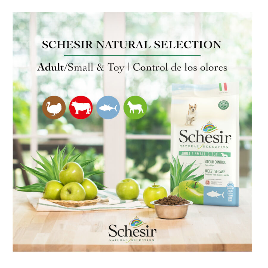 2.24 kg Schesir Adult Small & Toy Natural Selection Ra&ccedil;&atilde;o de peru para c&atilde;es, , large Imagem n&uacute;mero 4