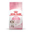 10 kg Royal Canin Kitten ração para gatos, , large Indicador imagem número 1