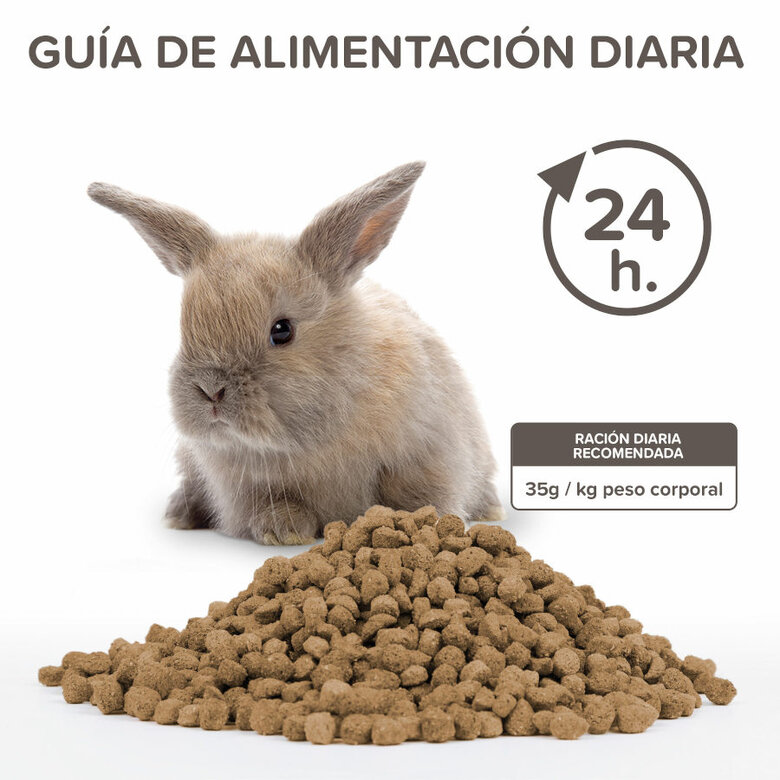 Beaphar Care+ Coelho Júnior ração para coelhos , , large image number null
