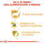 500 g Royal Canin Adult Yorkshire Terrier ração para cães, , large Indicador imagem número 5