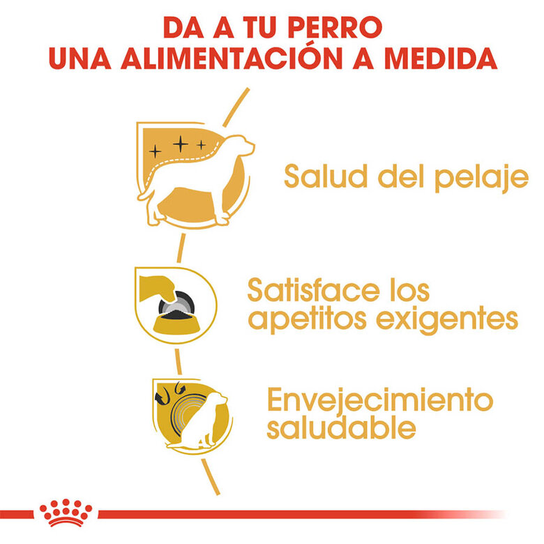 7.5 kg Royal Canin Adult Yorkshire Terrier ração para cães,  Imagem número 5 7.5 kg Royal Canin Adult Yorkshire Terrier ração para cães, , large Imagem número 5