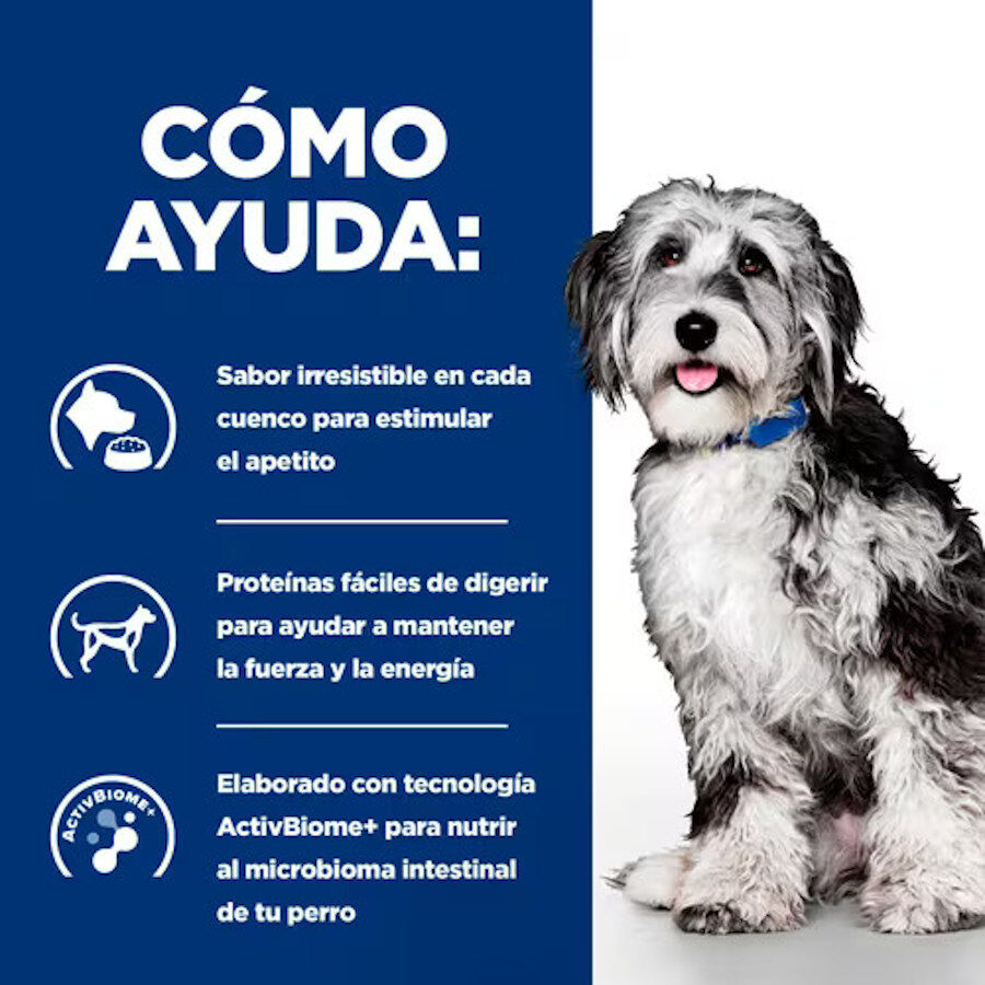 345 g Hill's Prescription Diet ON-Care Estufado de Frango e Legumes em lata para c&atilde;es, , large Imagem n&uacute;mero 3