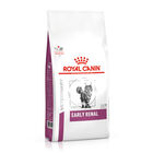 Royal Canin Early Renal ração para gatos, , large image number null