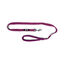 Gloria Air Mesh Trek Star Trela Roxa para cães, , large Indicador imagem número 4