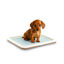 Nice Care Tabuleiro higiénico Gastone Azul para cães, , large Indicador imagem número 1