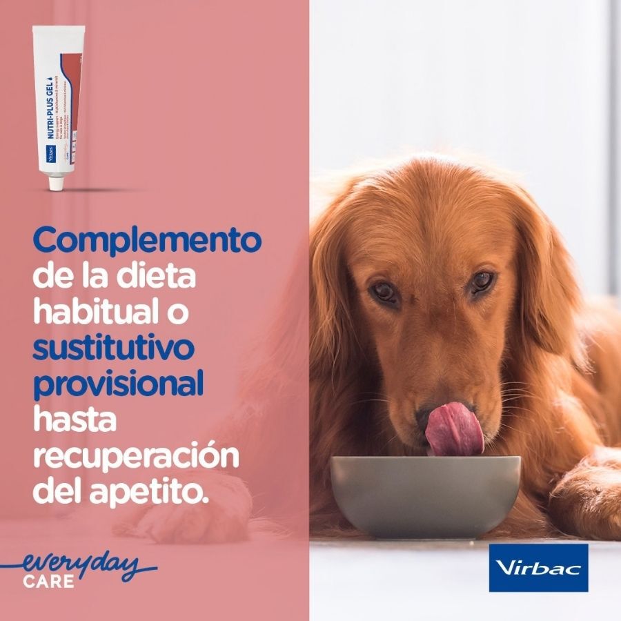 120 g Virbac Nutri-plus Gel Suplemento para c&atilde;es e gatos, , large Imagem n&uacute;mero 4