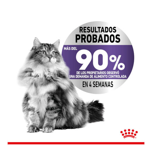 Royal Canin Appetite Control Care molho saqueta para gatos, , large image number null