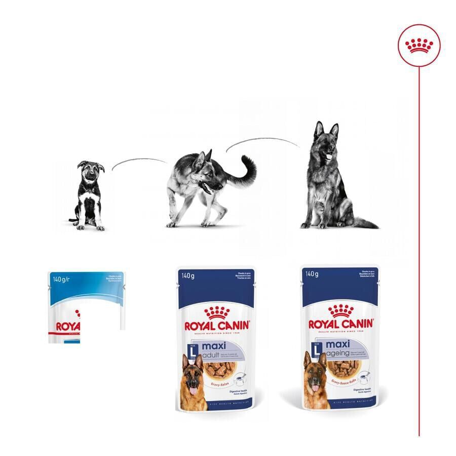 140 g Royal Canin Maxi Ageing saqueta em molho para c&atilde;es, , large Imagem n&uacute;mero 5