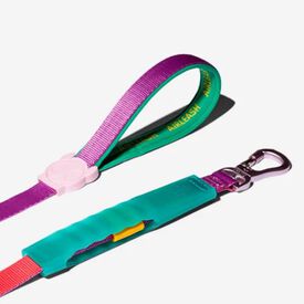 Zeedog Air Cali Dos Trela para c&atilde;es