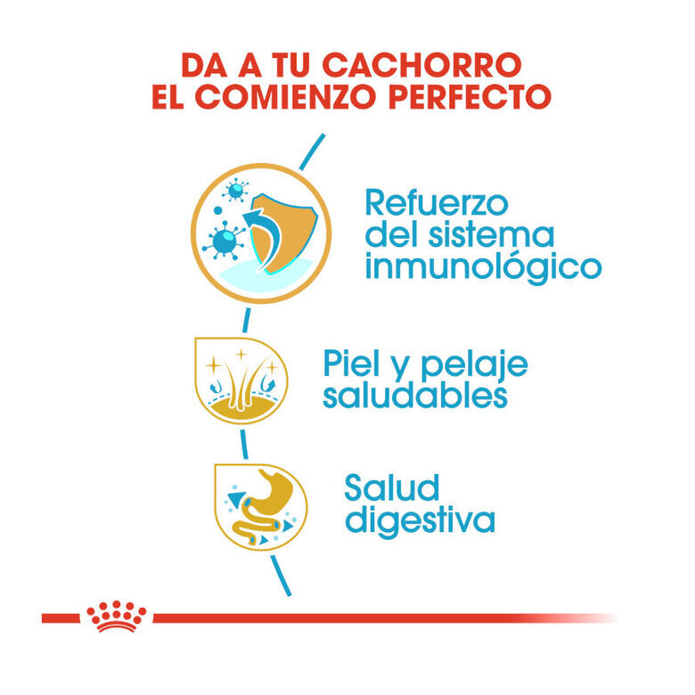 1.5 kg Royal Canin Puppy Shih Tzu ração para cães,  Imagem número 4 1.5 kg Royal Canin Puppy Shih Tzu ração para cães, , large Imagem número 4
