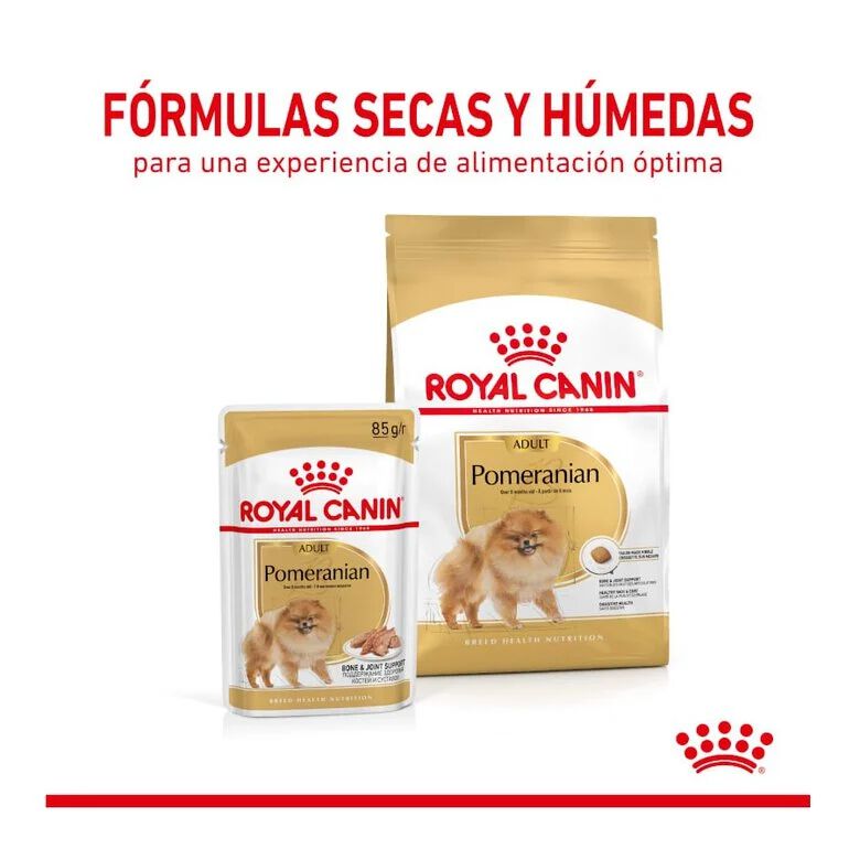 3 kg Royal Canin Pomeranian Adult ra&ccedil;&atilde;o para c&atilde;es, , large Imagem n&uacute;mero 4