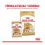 3 kg Royal Canin Pomeranian Adult ração para cães, , large Indicador imagem número 4
