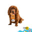 Summer Vibes Pawperol Spritz Peluche para c&atilde;es, , large Indicador imagem n&uacute;mero 6