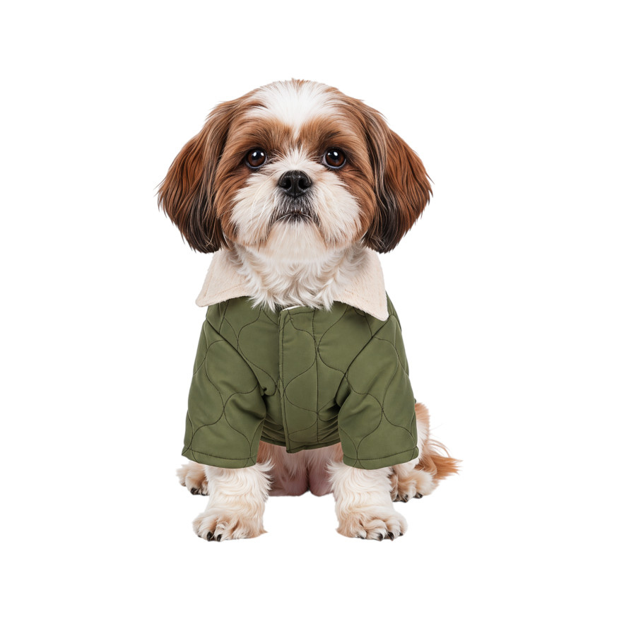 Gotoo Casaco Acolchoado Verde para c&atilde;es, , large Imagem n&uacute;mero 7