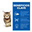 12 saquetas x 85 g Hill's Kittenn Science Plan Frango e Peixe saqueta para gatos - Multipack  12, , large Indicador imagem n&uacute;mero 4